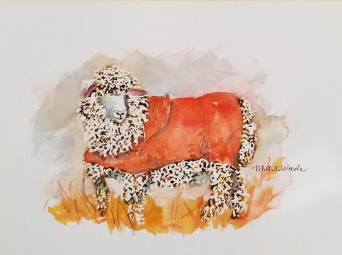 Sheep with orange coat