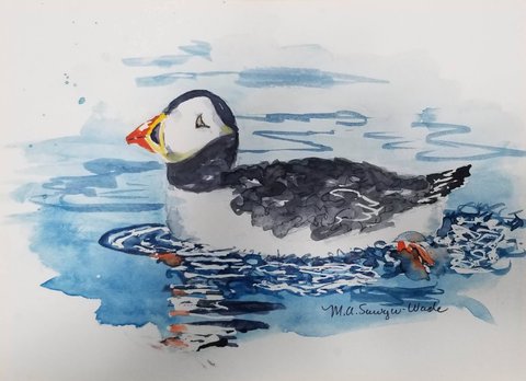 Puffin